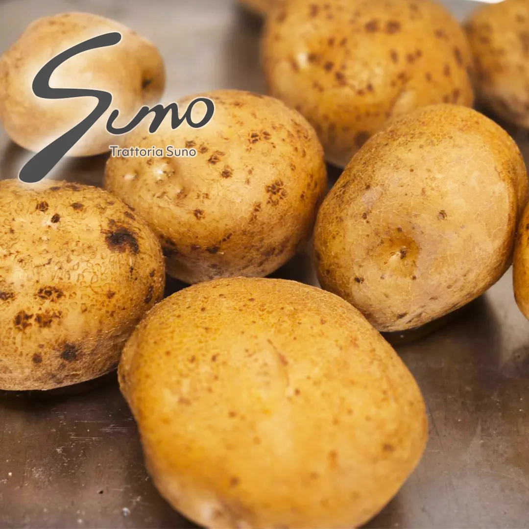 日本橋・三越前のイタリアンTrattoria Suno